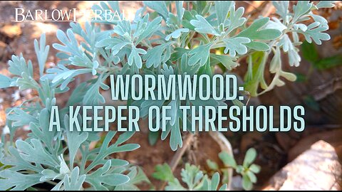 The Health Benefits of Wormwood