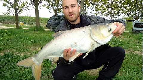 Fishing on Tolstolob Lake ,,Vitska Elia,, (Part-2) Bulgaria