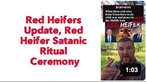 Red Heifers Update, Red Heifer Satanic Ritual Ceremony