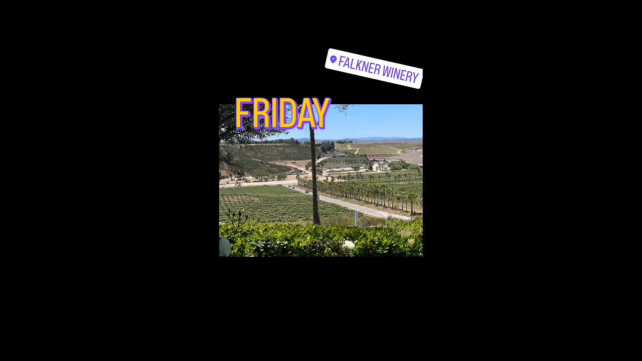 Friday Vibes: Falkner Winery 🍷
