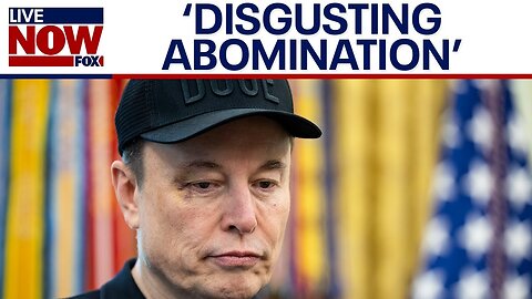 Elon Musk Slams 'Big Beautiful Bill' as 'Disgusting Abomination,' Sparks GOP Backlash