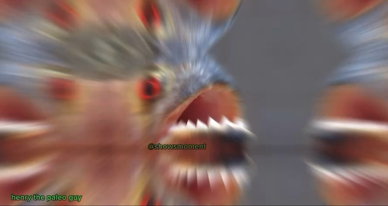 This fish has human teeth—and it bites hard