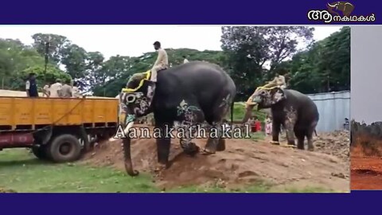 വീണ്ടും ഒരു കൊമ്പൻ കൂടി നമ്മെ വിട്ടുപിരിഞ്ഞു _ Elephant electrocuted in karnataka _ Sree 4 elephants