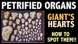 PETRIFIED ORGANS - GIANT'S HEARTS - HOW TO SPOT THEM!!