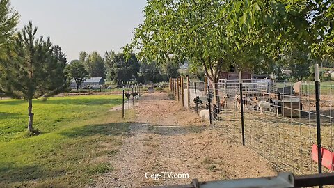 Graham Family Farm NW: 9:0 AM September 13 2025