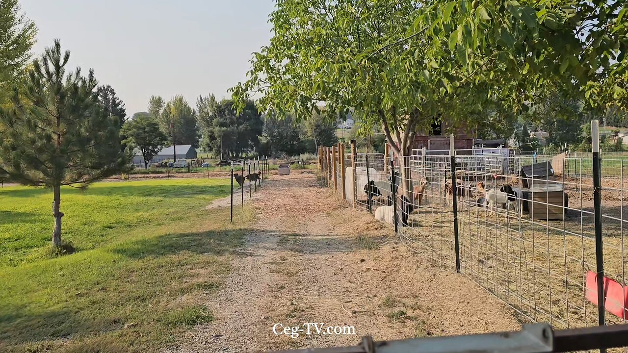 Graham Family Farm NW: 9:0 AM September 13 2025