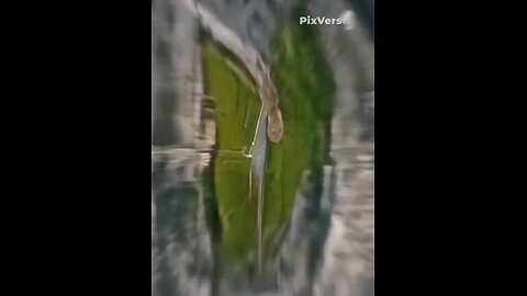 satellite views
