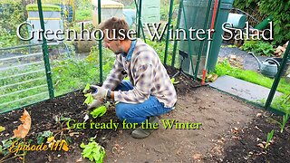 Year-Round Harvest! Easy Winter Salad Gardening in an Unheated Greenhouse