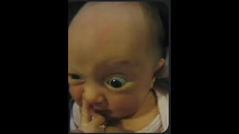 Mentha Piperita (Peppermint)