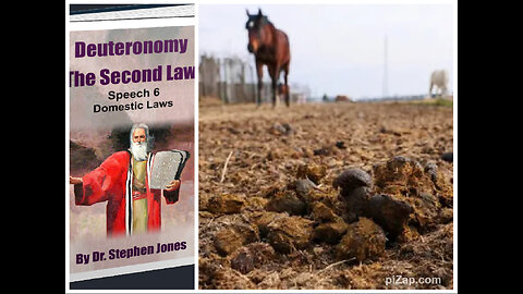 Deut 2ª Ley DISCURSO 6, Cap. 18/19:LEYES DEL EXCREMENTO/RE ESCLAVIZANDO A LOS ESCAPADOS,StephenJones