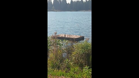FLOATING DOCK