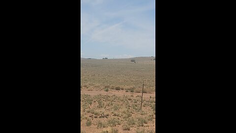 Antelope