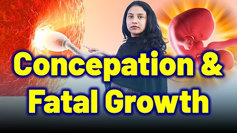 Conception and Fetal Formation During Pregnancy. | Treatment & Cure | Homeopathy, Medicine