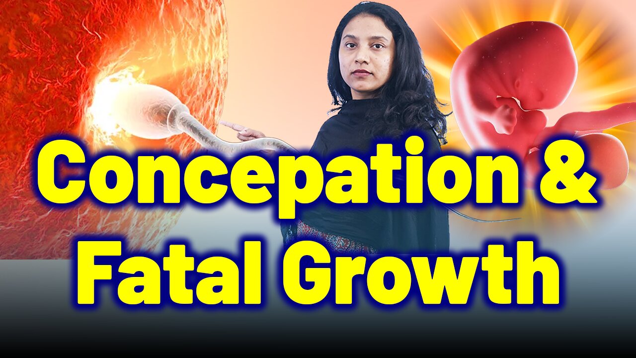 Conception and Fetal Formation During Pregnancy. | Treatment & Cure | Homeopathy, Medicine