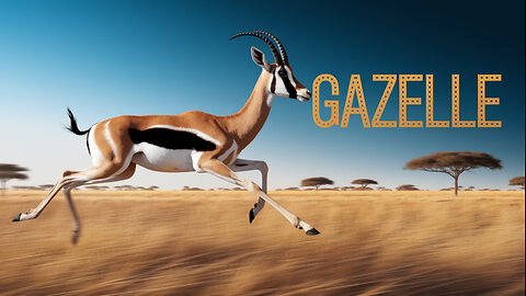 WOW! Antelope HORNS Like You've NEVER Seen Before!