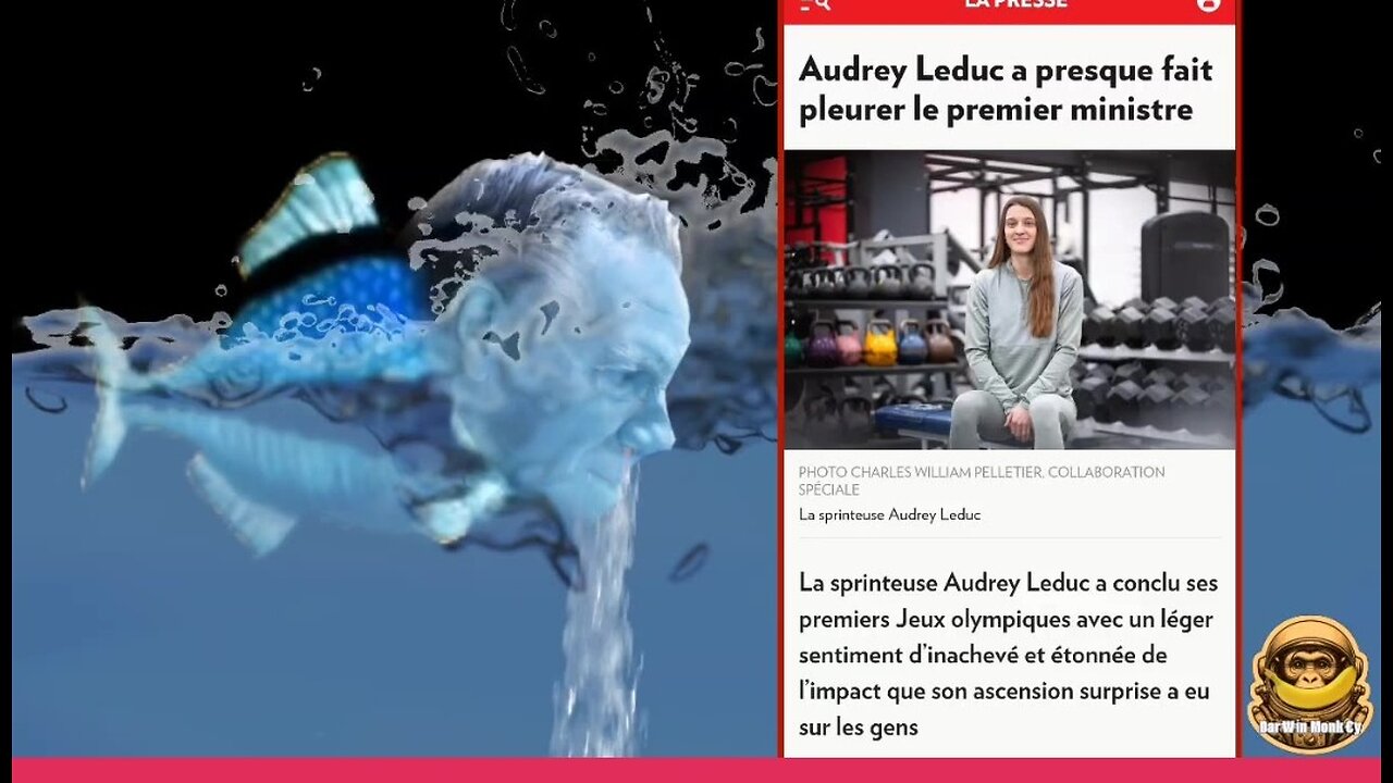 Nouvelles Brisées 🌐 Breaking News 📽🎬🎞💥🌎