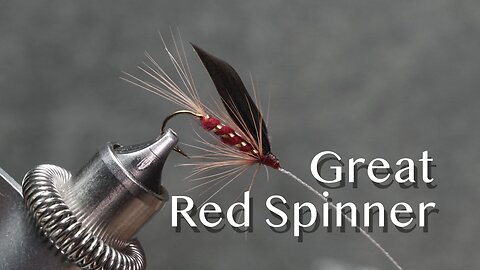 Great Red Spinner: a trout fly from Favorite Flies and Their Histories (1892) by Mary Orvis Marbury