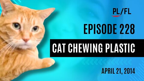 Past Liam - “Cat Chewing Plastic” - April 21st, 2014