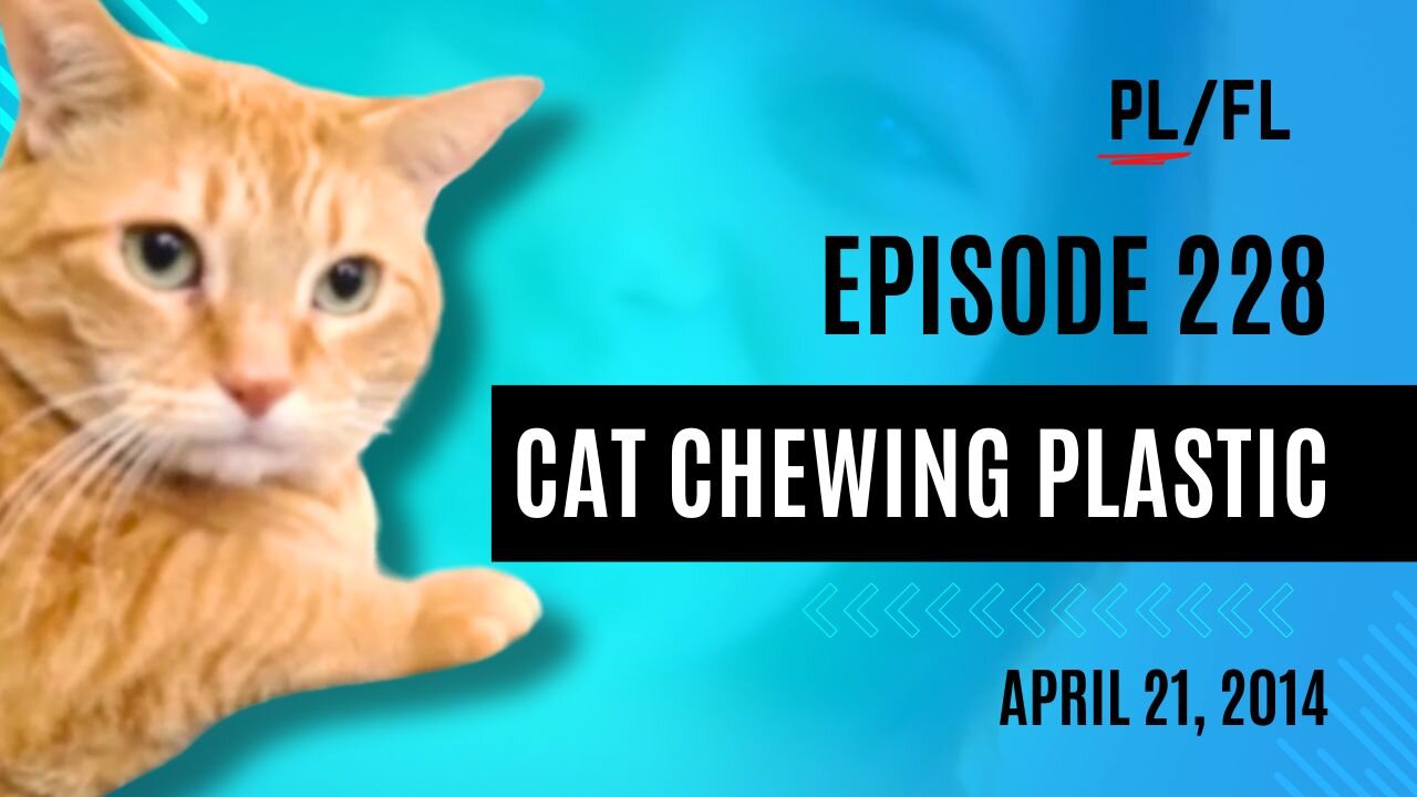 Past Liam - “Cat Chewing Plastic” - April 21st, 2014