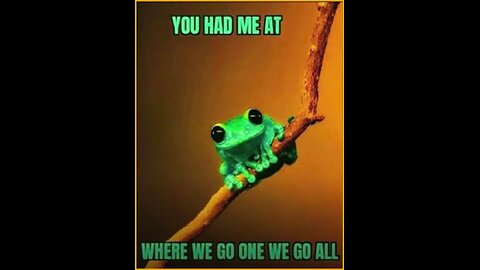 fren news17 - The Fall of the Control Grid 4...........