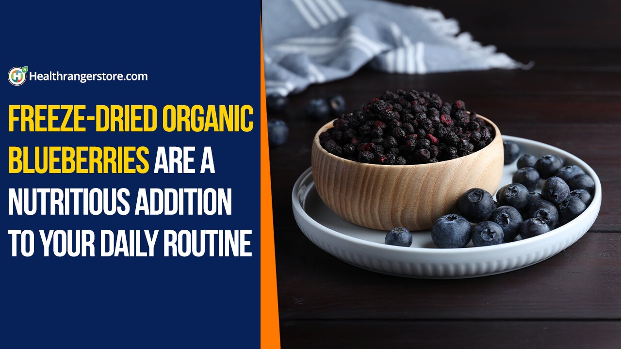 Freeze-Dried Organic Blueberries are a nutritious addition to your daily routine