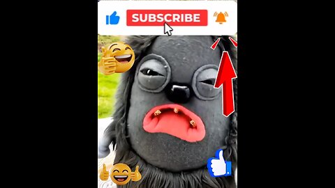 Have You Seen??