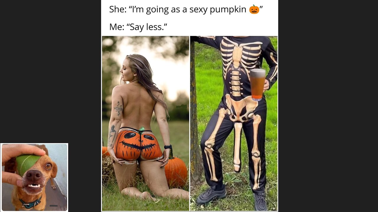 Memes That Will 99.0444% Make You Laugh. (e668)