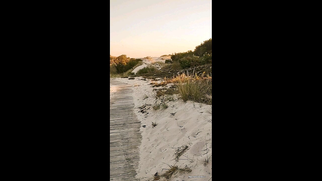 Beautiful trail 🌲🍄🍃