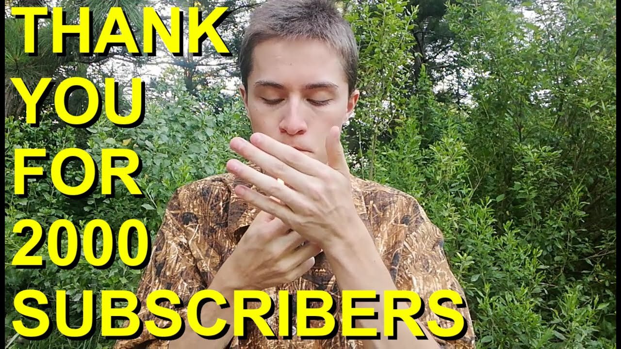thank you for 2000 subscribers