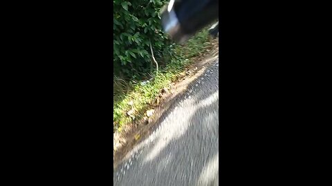 FAST DRIVING