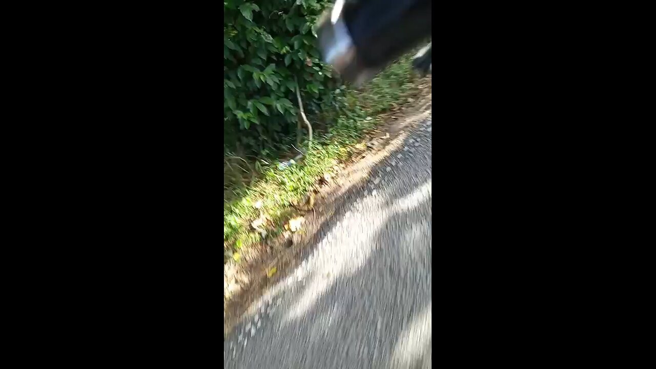 FAST DRIVING