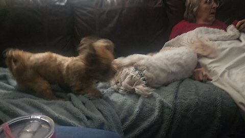 A MOMENT DURING SUPER BOWL 60