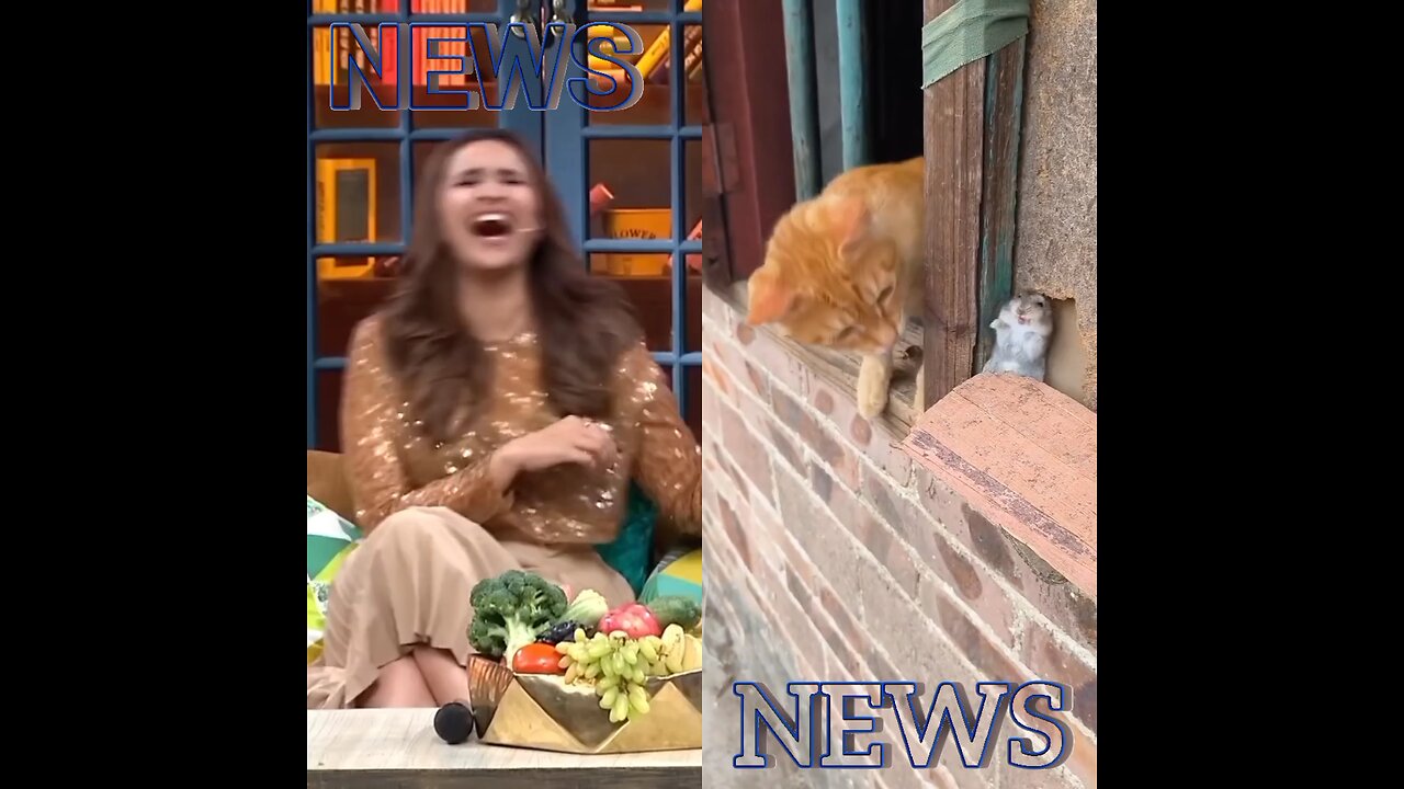 A cat slaps the mouse multiple times.