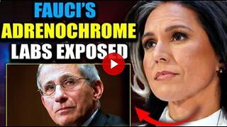 Tulsi Gabbard Exposes Fauci's Ukraine Biolabs as Adrenochrome Factories