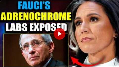 Tulsi Gabbard Exposes Fauci's Ukraine Biolabs as Adrenochrome Factories