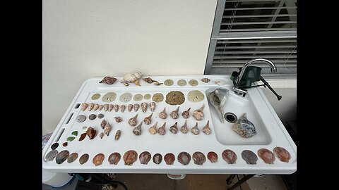 Beach Finds 11/7/2025 | 4K