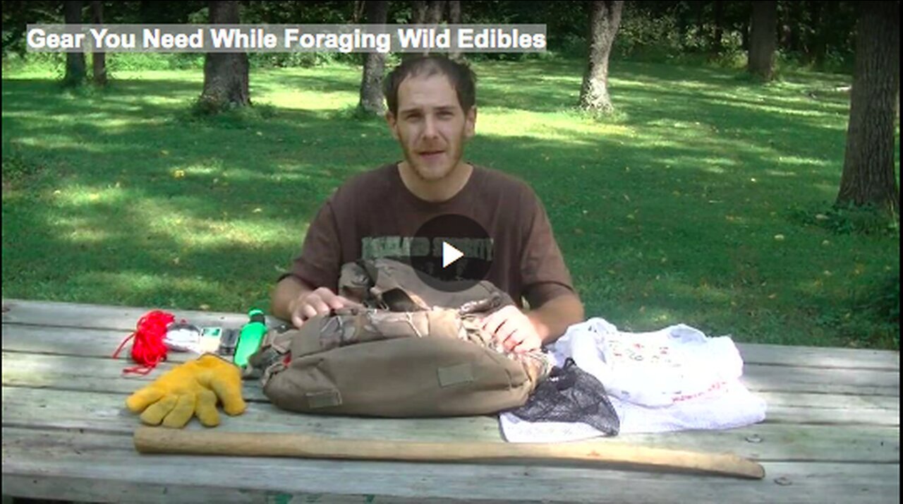 "Essential Gear for Foraging Wild Edibles"