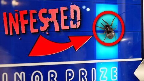 STACKER ARCADE GAME INFESTED WITH BUGS!