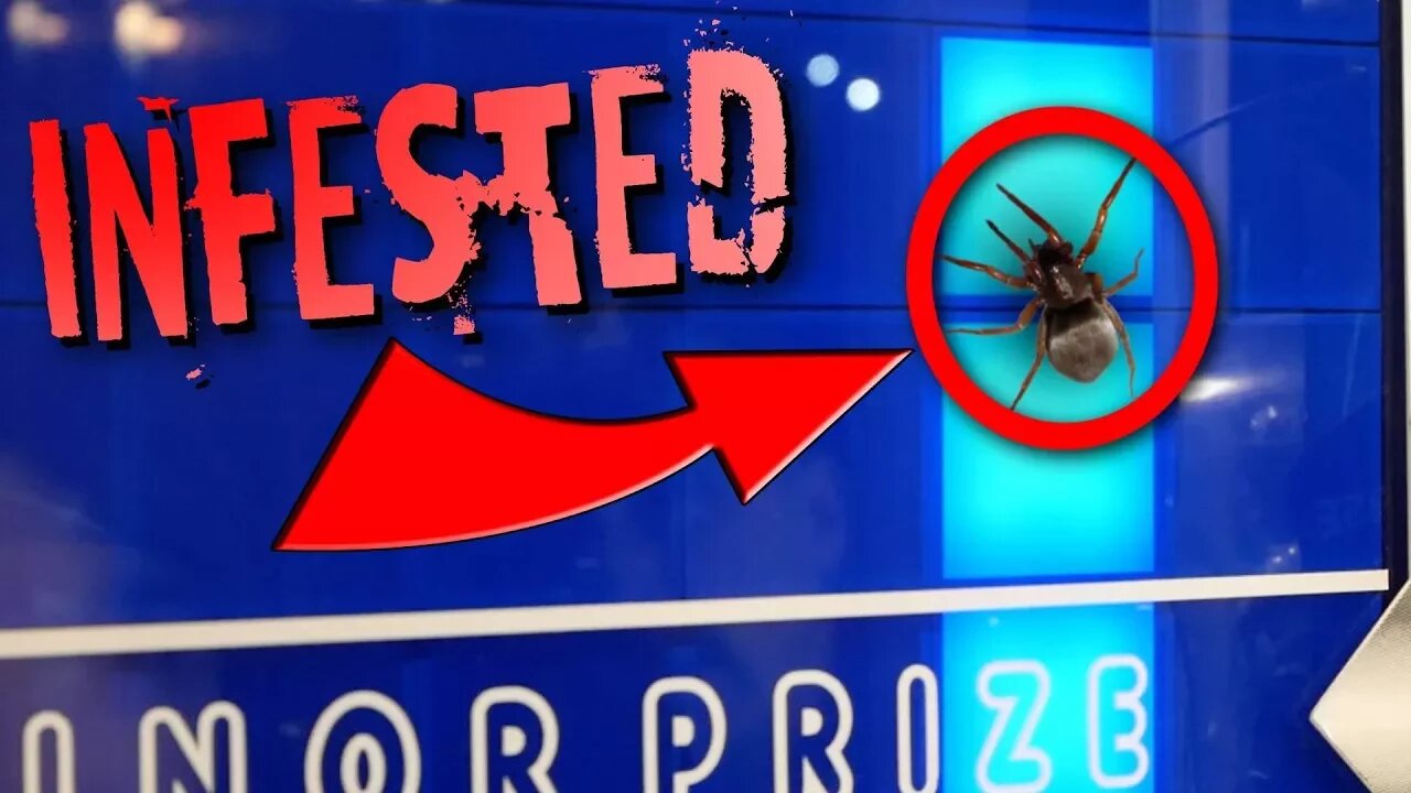 STACKER ARCADE GAME INFESTED WITH BUGS!