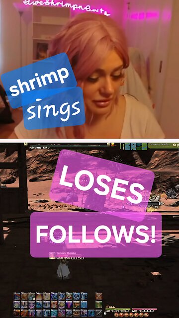 shrimp sings loses follows