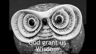 Wisdom Calls Out