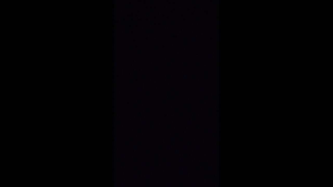 black panther