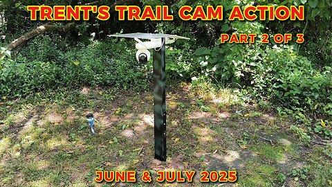 Trent's Trail Cam Action - June & July Of 2025 - Part 2 Of 3