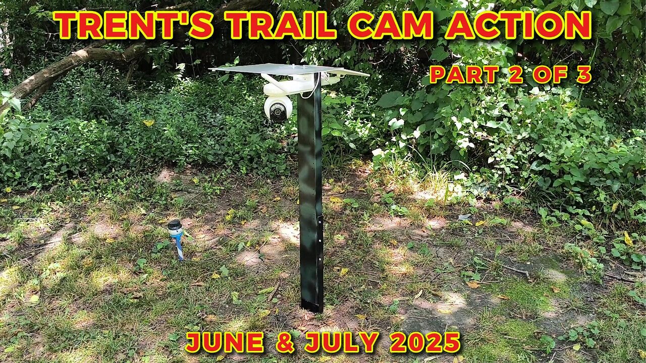 Trent's Trail Cam Action - June & July Of 2025 - Part 2 Of 3