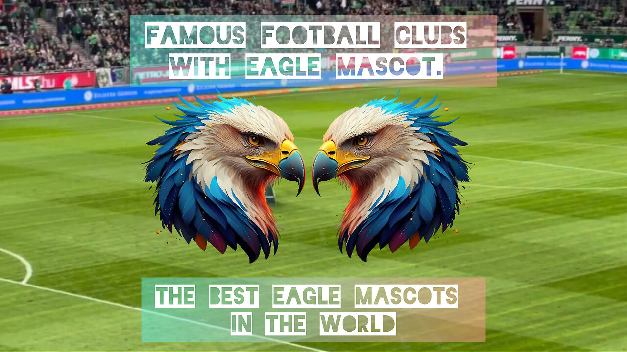 Famous football clubs with Eagle mascot. The best Eagle mascots in the world