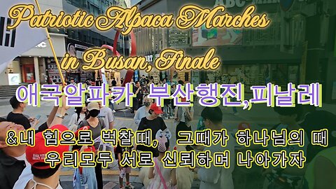 애국알파카, 부산이 필요할때,벅찰때 서로 신뢰 나아갈때.MD-17오늘도 안녕 하시나요?/When you're overwhelmed, when you trust each other