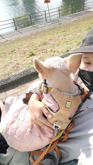 20251104. God Made the world.