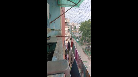 jivdaya mehsana