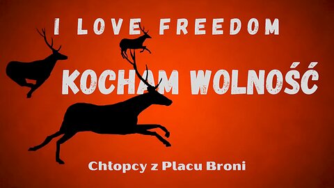 I Love Freedom - Chłopcy z Placu Broni - Kocham Wolność