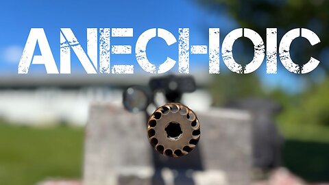 Who Is This Suppressor For? Anechoic 223 Review